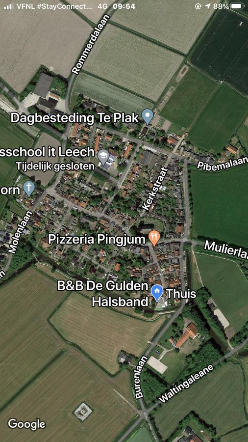 B&B De Gulden Halsband Pingjum Exteriör bild